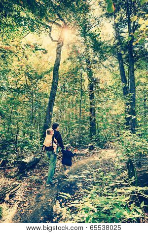 Going For A Hike In The Autumn Forest - Instagram