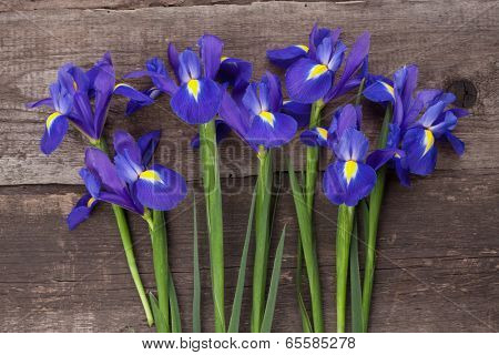 Blueflag or iris flower on grungy wooden background