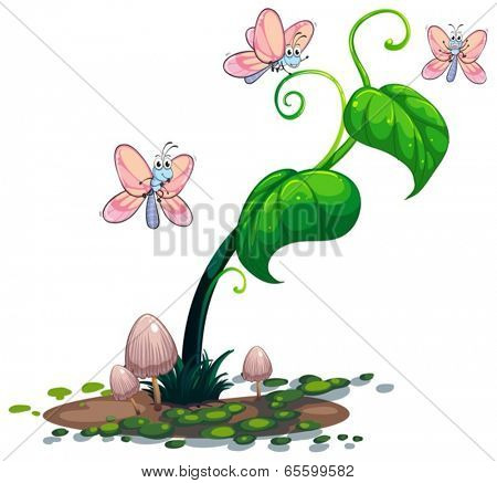 Illustration of a green plant with butterflies on a white background
