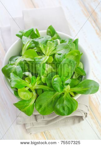 green salad