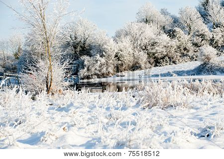 Beautiful Sunny Day In The Winter On The River
