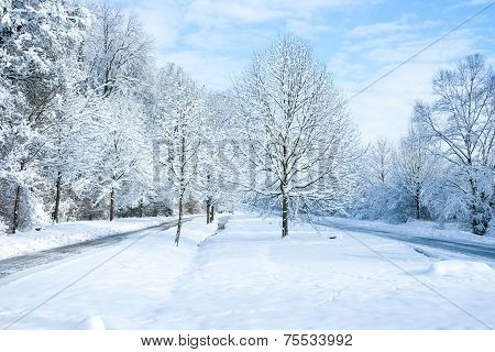 Winter Wonder Land - In The Park