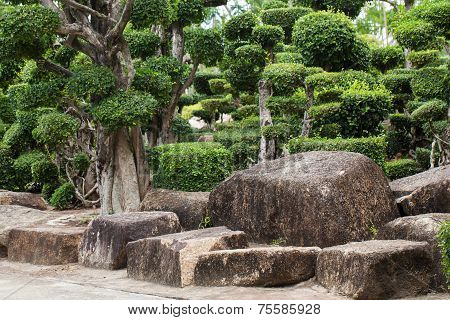 Japanese Garden