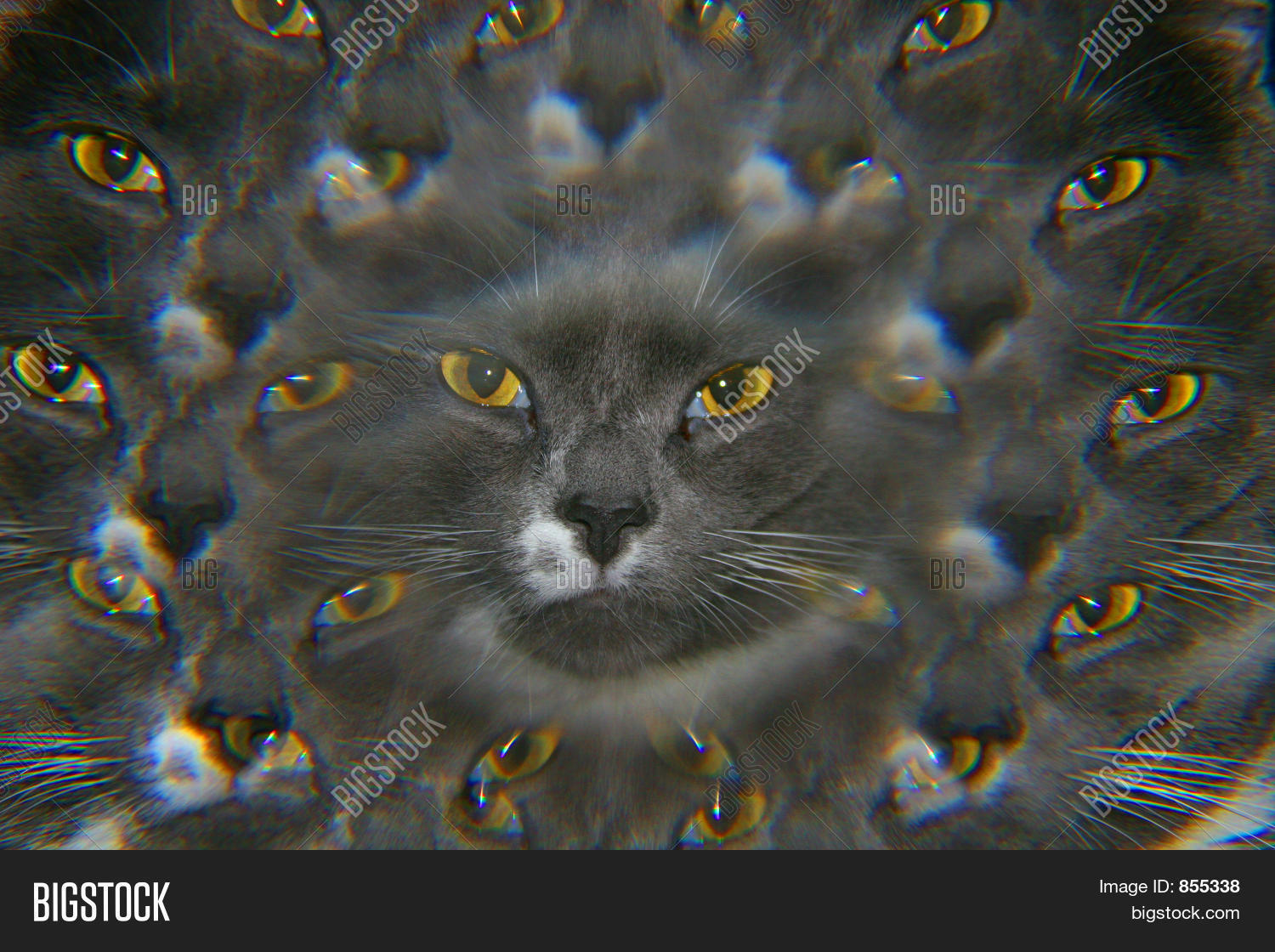 Image Preview