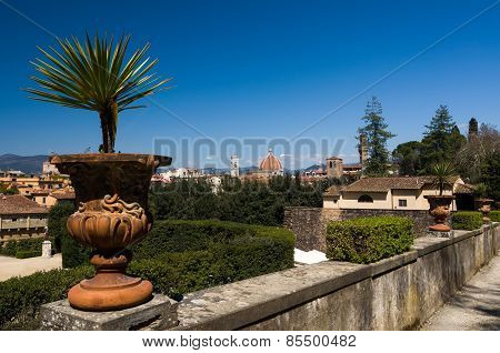 Vase With A Flower In The Foreground And The Basilica