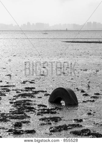 Mudflat