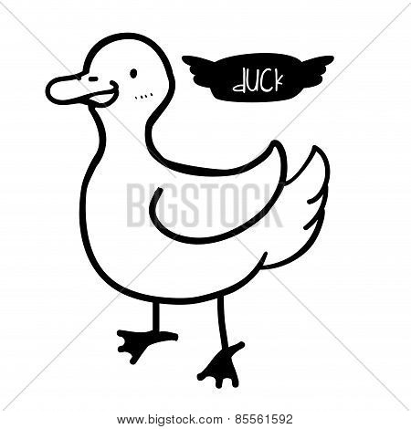 bird design