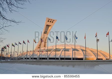 The Montreal Stadium