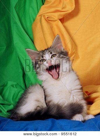 ler kattunge