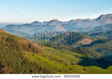Tea Plantation Valley At Sunrise In Munnar