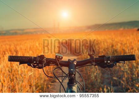 Mountain biking down hill descending fast on bicycle. View from bikers eyes.