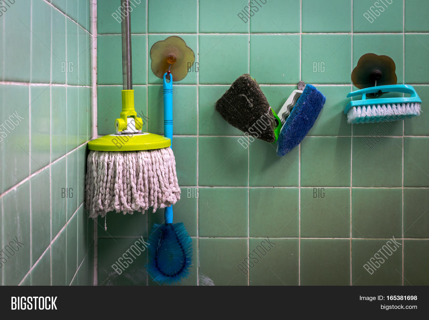 Mops Scrub Brushes Image & Photo (Free Trial) Bigstock