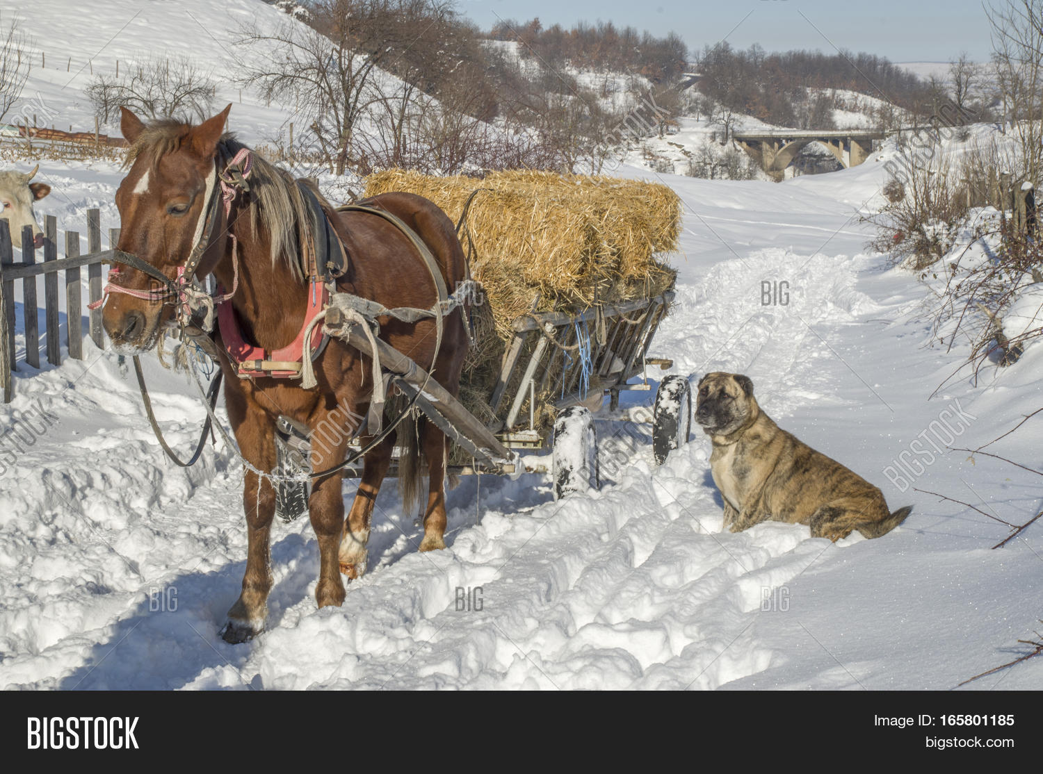 степанов алексей степанович художник. сонное утро. похолодало потянулись по селу. холодное осеннее утро. поздняя осень.