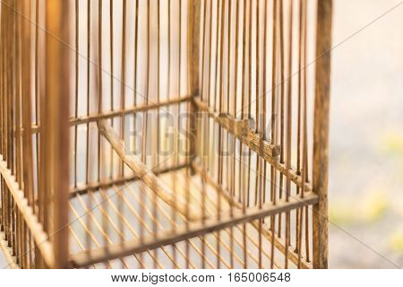 closed up emty wood bird cage in sunset light freedon concept.
