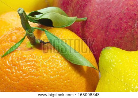 Many different ripe juicy citrus fruits closeup