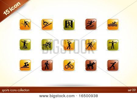15 Krásný lesklý lesklý vektorové ikony - sportovní kolekce - set 09