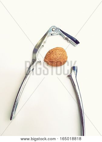 A tough Nut to crack.  So tough it broke the nut cracker