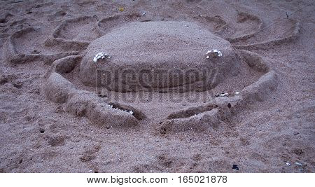 Crab on The beach.Crab on Libong island Thailand.