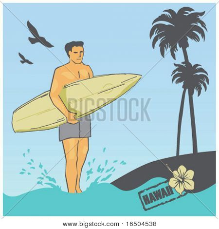 surfista in hawaii