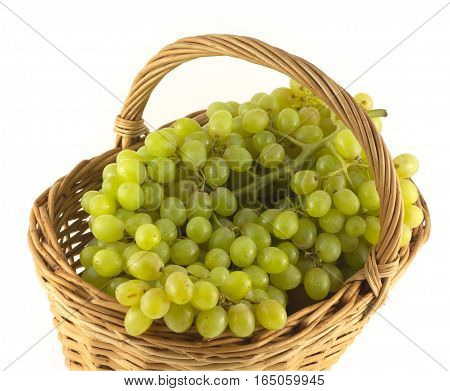 Lot of ripe grape bunches with green berries in brown wicker basket isolated on white close up