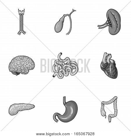 Human organs set icons in monochrome design. Big collection of human organs vector symbol stock illustration