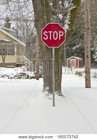 Stop sign and a whiteout landscape in Gresham Oregon.