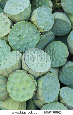Thailand Isan Udon Thani Lotus Food Fegetable