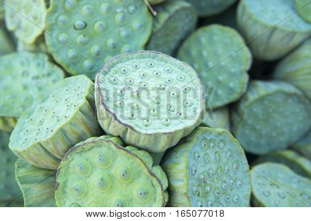 Thailand Isan Udon Thani Lotus Food Fegetable
