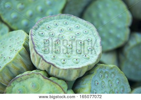 Thailand Isan Udon Thani Lotus Food Fegetable