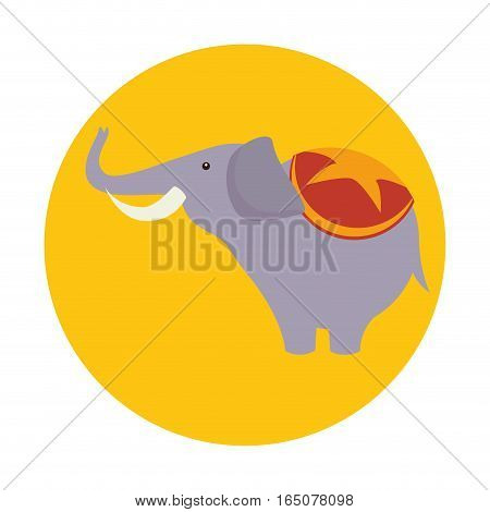 funny elephant circus icon vector illustration design
