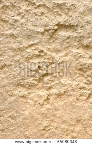 sandy soils surface  in the big garden