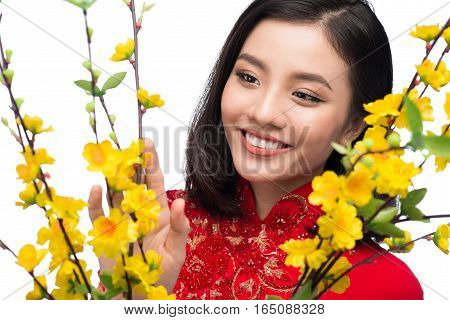 Portrait of a beautiful Asian woman on traditional festival costume Ao Dai holding Hoa Mai tree (Ochna Integerrima) flower. Tet holiday. Lunar New Year.