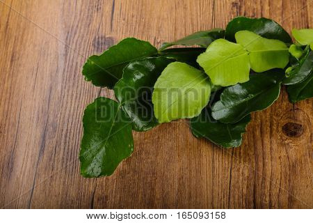 Kafir Lime Leaves