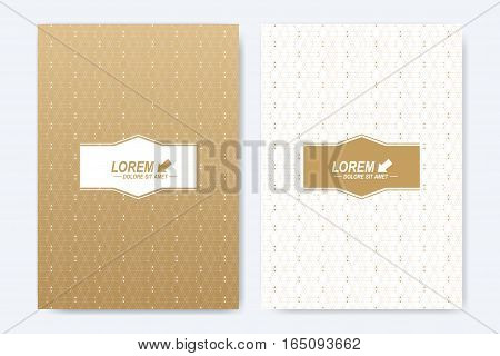 Modern vector template for brochure, Leaflet, flyer, cover, booklet, magazine or annual report. A4 size. Abstract golden presentation book layout. Geometric pattern with connected lines and dots