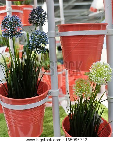 Blue and White Artificial Allium Giganteum Blossoms or Giant Onion Flower in Orange Metal Pots for Home and Office Decoration without The Care.