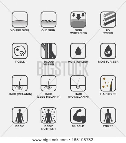 collagen , skin and hair icon vector . old young whitening uv T cell blood moisturizer melanin dyes body muscle power