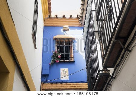 Cordoba (Andalucia Spain): old typical street in the Juderia: blue house