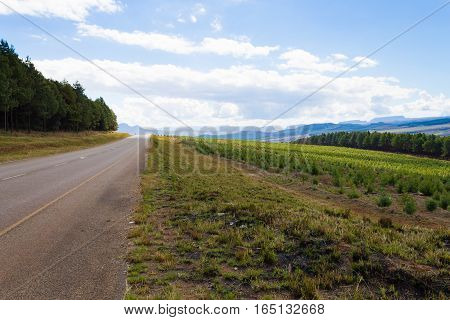 Panorama From South Africa