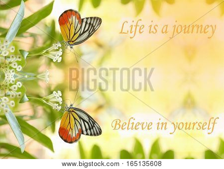 Life is a journey Believe in yourself - motivational quote sweet dreamy of twin beautiful butterfly absorb some sweet from flowers in sunny day
