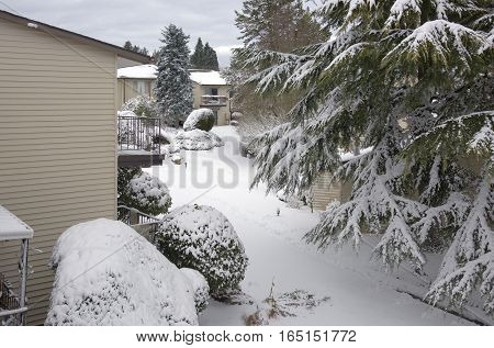 Snow storm and whiteout in a neighborhood Gresham Oregon.