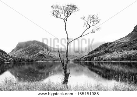 Striking Black And White High Key Landscape Image Of Lake Buttermere In Lake District England