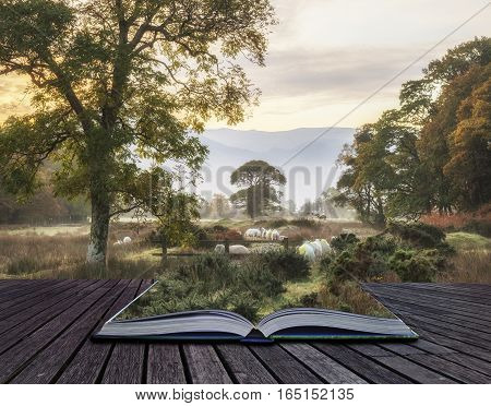 Beautiful Foggy Misty Autumn Sunrise Over Countryside Surrounding Crummock Water In Lake District In