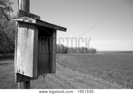 Birdhouse2