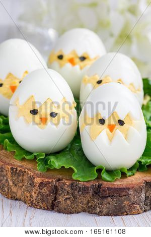Little chicken in nest deviled eggs served with salad on wooden board vertical