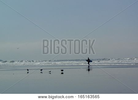 Unidentified surfer heads in to the water in Newport Beach, CA.