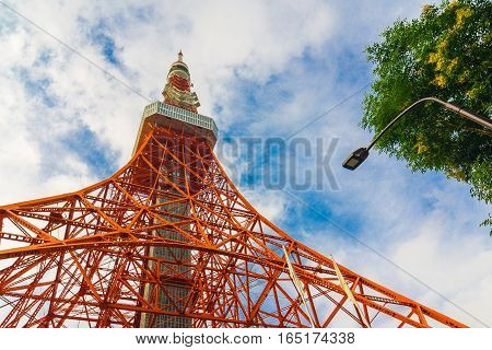 Tokyo Tower Wth Green Tree Blue Sky