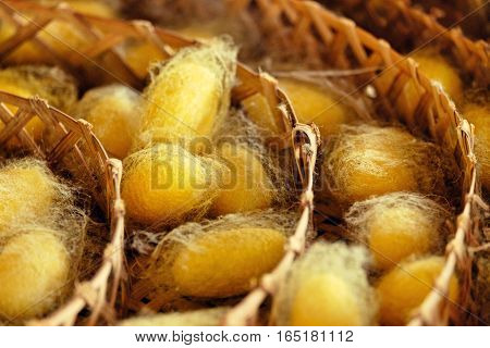 Silkworm Fibers In The Fabric Industry.