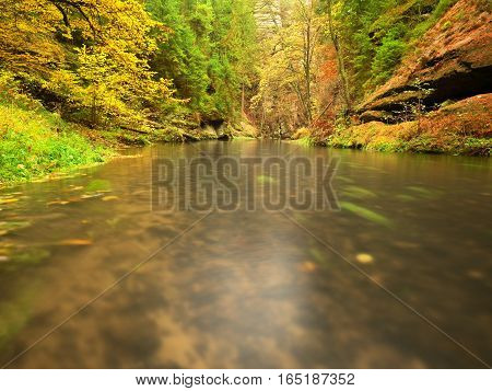 Colorful Autumn Leaves On Boulder In Fall Mountain Stream.