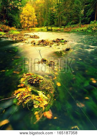 Colorful Autumn Leaves On Boulder In Fall Mountain Stream.