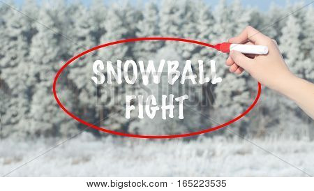 Woman Hand Writing Snowball Fight With Marker Over Winter Forest.